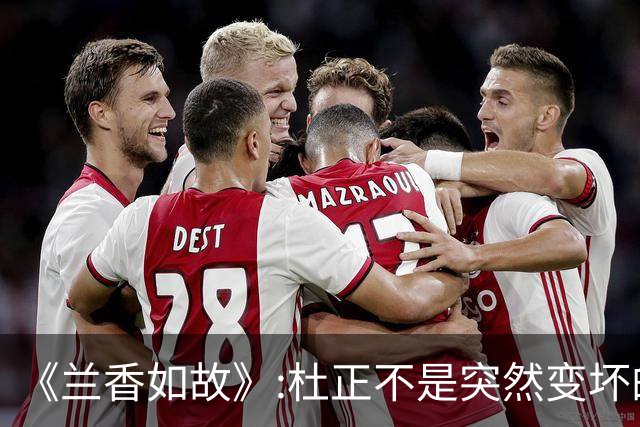 《兰香如故》:杜正不是突然变坏的，他就是想来林府吃绝户