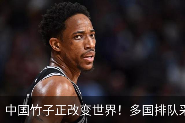中国竹子正改变世界！多国排队采购，“以竹代石”意味着什么？