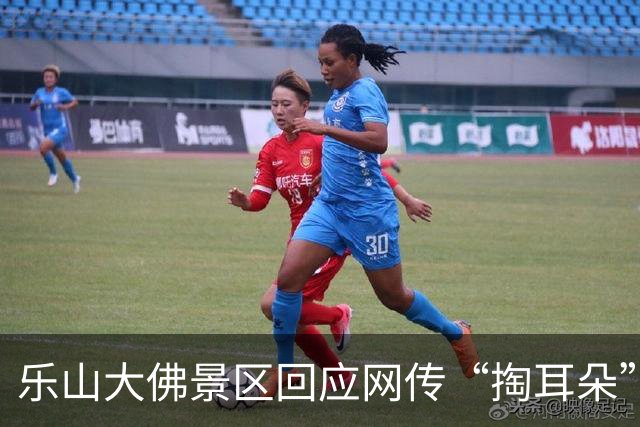 乐山大佛景区回应网传“掏耳朵”养护作业视频：系AI合成，佛耳内并无所谓“杂物”