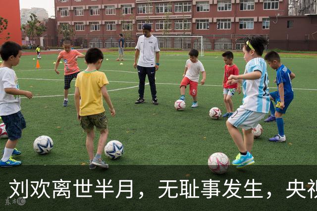 刘欢离世半月，无耻事发生，央视痛批他们无底线！这些人难辞其咎
