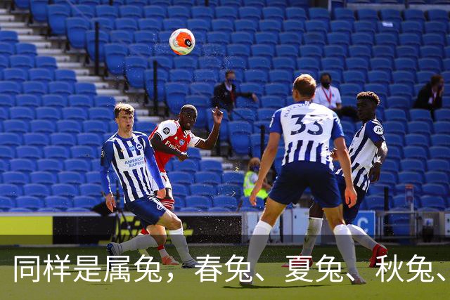 同样是属兔，春兔、夏兔、秋兔、冬兔差别太大！看完恍然大悟