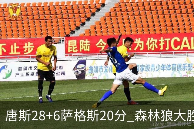 唐斯28+6萨格斯20分 森林狼大胜终结魔术连胜