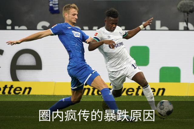 圈内疯传的暴跌原因