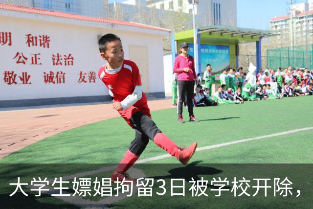 大学生嫖娼拘留3日被学校开除，一审法院认为嫖娼不属情节严重，二审认为应尊重学校自主权
