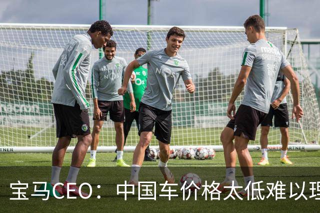 宝马CEO：中国车价格太低难以理解