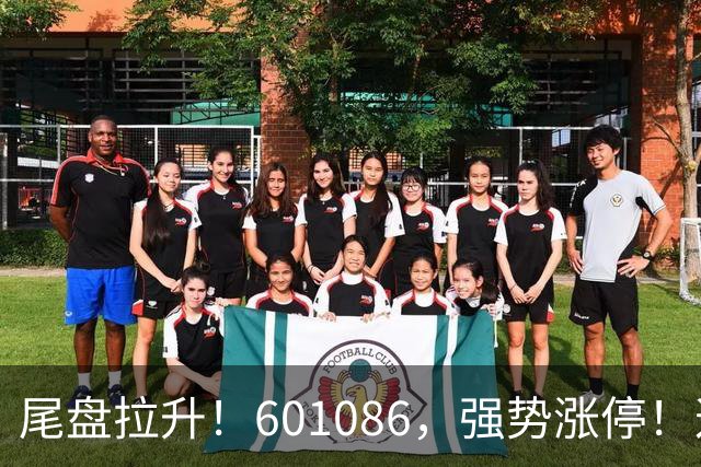 尾盘拉升！601086，强势涨停！这一板块逆市爆发