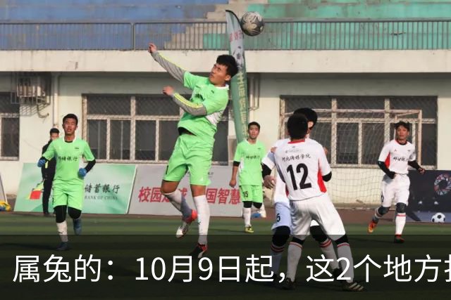 属兔的：10月9日起，这2个地方打死别去