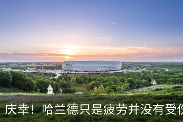 庆幸！哈兰德只是疲劳并没有受伤 马雷斯卡首要任务是稳定军心