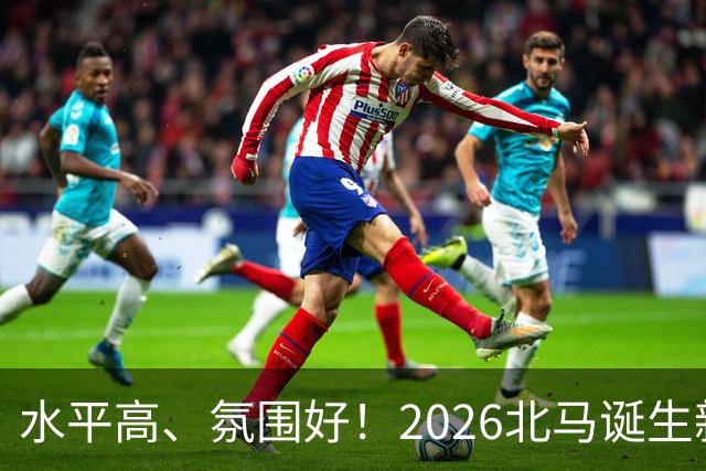 水平高、氛围好！2026北马诞生新纪录，赛事组织获选手认可