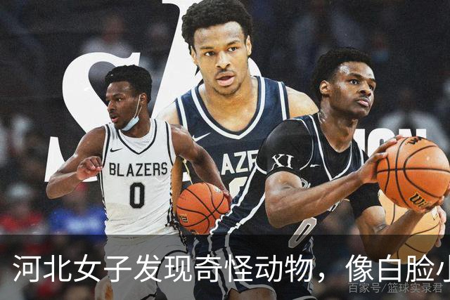 河北女子发现奇怪动物，像白脸小狗，为了给它们留窝连玉米秆都不收了