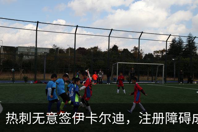 热刺无意签伊卡尔迪，注册障碍成关键