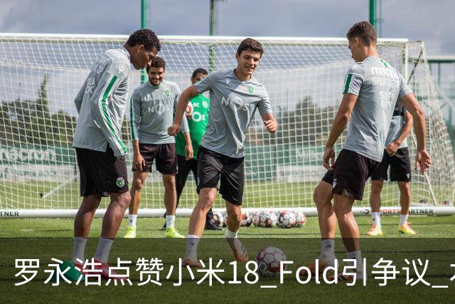 罗永浩点赞小米18 Fold引争议 本人回应