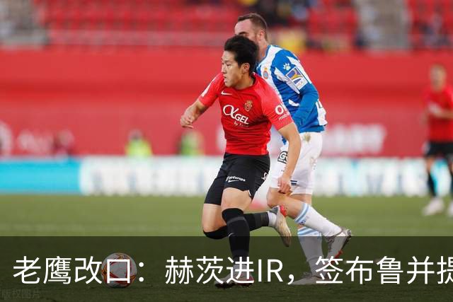 老鹰改口：赫茨进IR，签布鲁并提拔两人