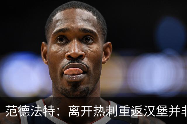 范德法特：离开热刺重返汉堡并非明智之举，最后1年半很艰难