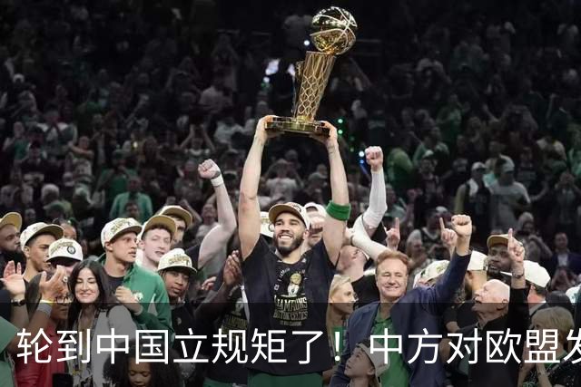 轮到中国立规矩了！中方对欧盟发出1道制裁，德国还想对中企下手