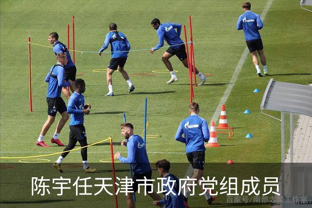 陈宇任天津市政府党组成员