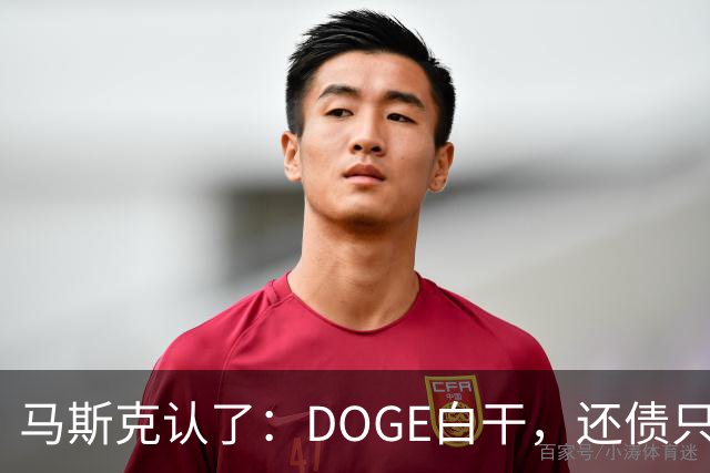 马斯克认了：DOGE白干，还债只能靠AI和机器人
