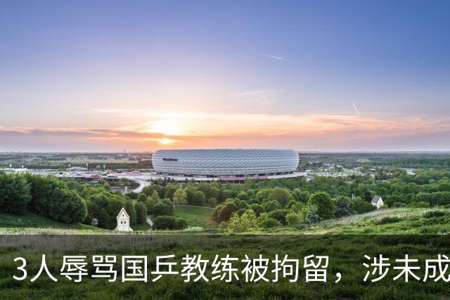 3人辱骂国乒教练被拘留，涉未成年人！南都曾揭体育饭圈乱象